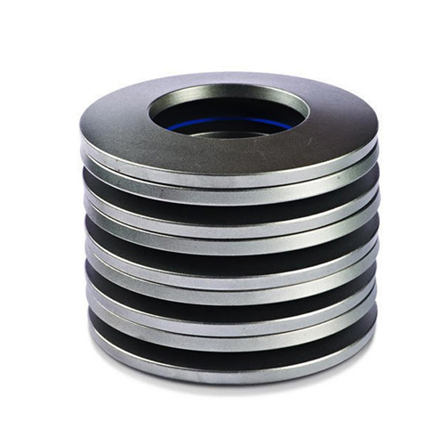 Disc Washers Belleville